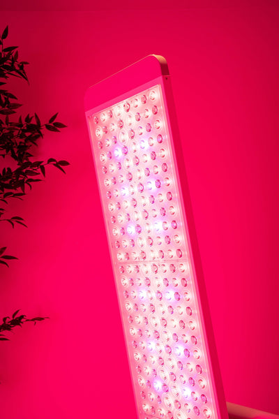 The Panorama Panel by Renew Red Light, photo 6