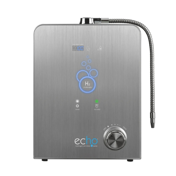 Echo H2 + Echo Flask