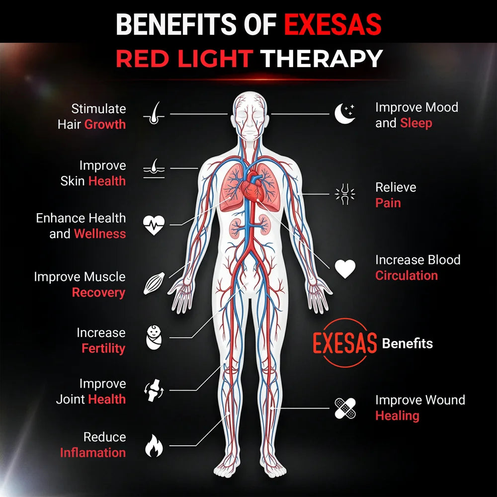 Anatomical diagram of body benefits from the EXESAS 324 LED 1620W Full Body Red Light Therapy Panel