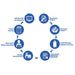 Eight-step turn-key support diagram covering permitting, nitrogen sourcing and training for the Cryo Innovations XR Cryo Chamber