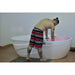 Man in board shorts testing the water of the Dreampod Home Float Pro Float Tank while the interior glows pink