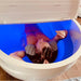 Man floating on a neck pillow inside the Dreampod Home Float Pro Float Tank under deep blue interior LED lighting