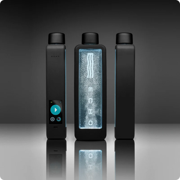 Echo H2 + Echo Flask