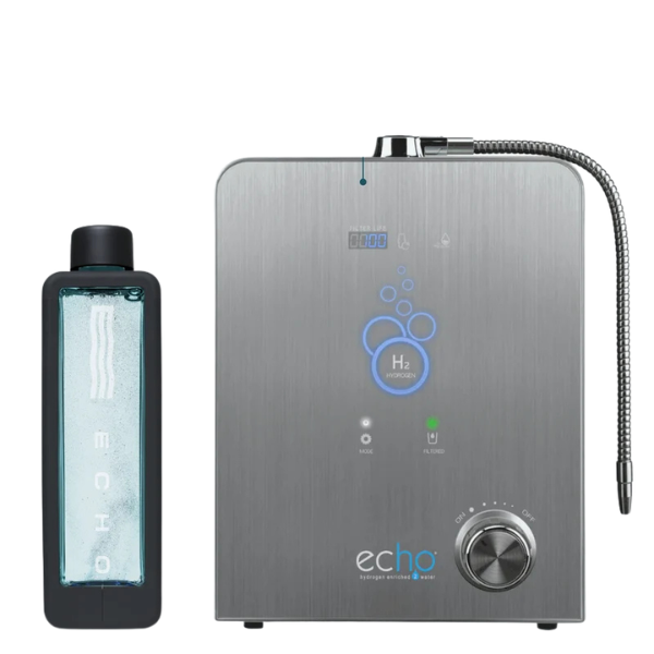 Echo H2 + Echo Flask