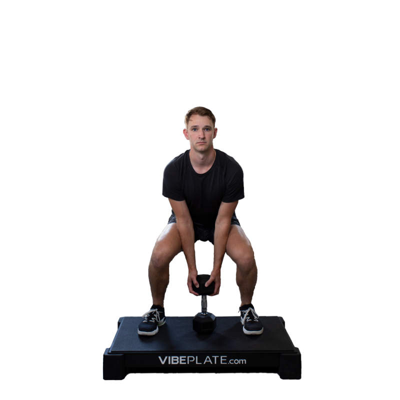 VibePlate 2440