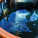 Top-down view of clear chilled water inside the Ora Ice Bath steel liner and cedar rim