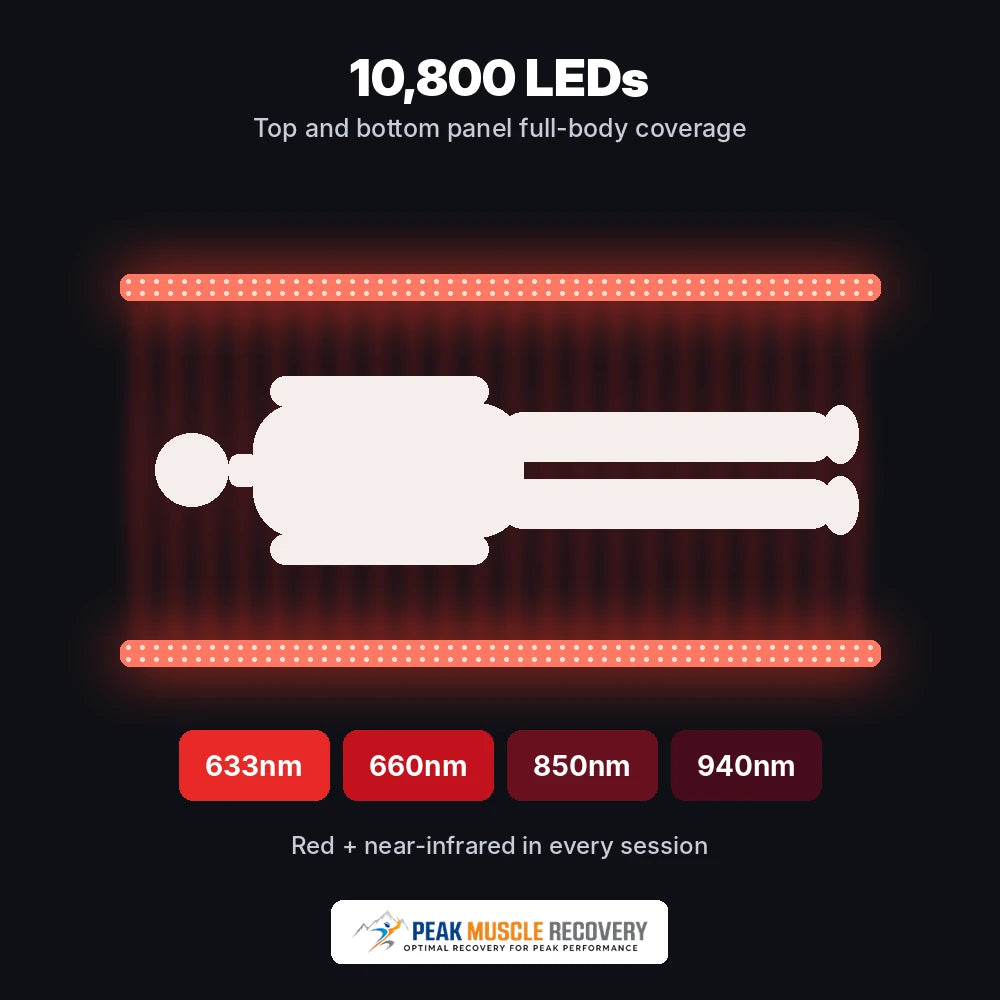 Full-body coverage infographic showing the 10,800 LEDs of the Peak Muscle Recovery Basecamp Red Light Therapy Bed