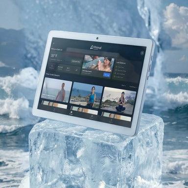 Primal Plunges indoor 21.5 inch touchscreen on ice block