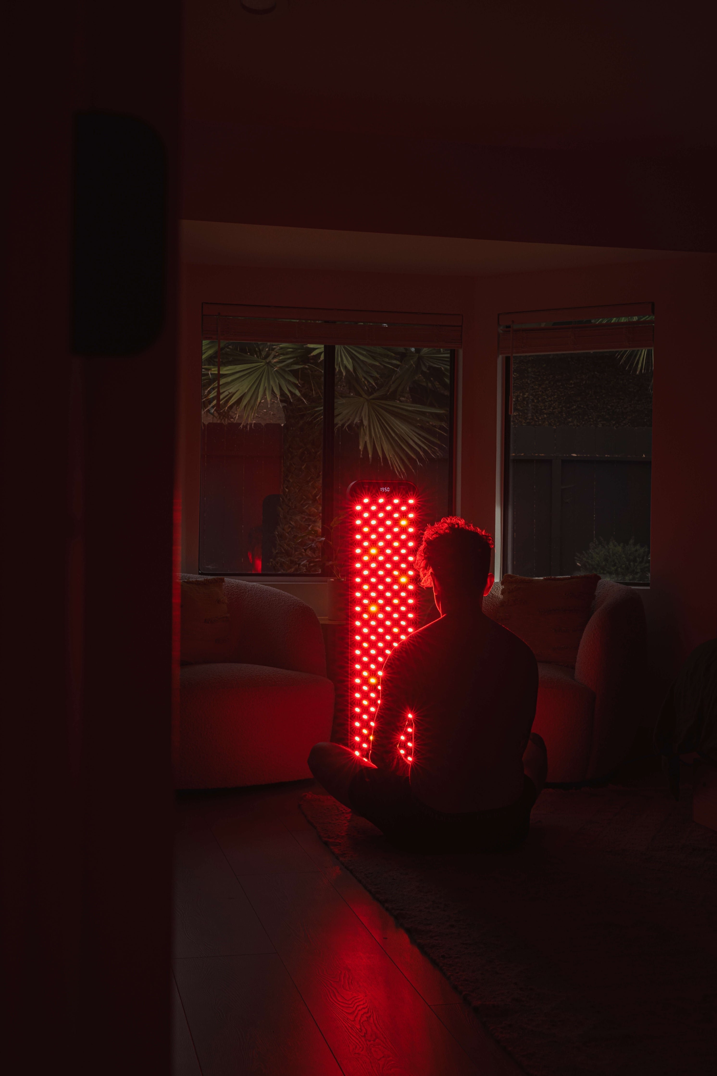 The Large Panel | Renew Red Light