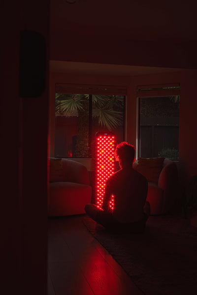 The Large Panel by Renew Red Light, photo 3