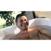 Man relaxing shoulder-deep in cold water inside the FiberCore Flex Cold Plunge Fiber Core Flex Tub outdoors beside a plant