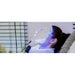 Client reclining in blue LED face mask treatment paired with the Vacu Activ Cryo Flow Mini Cold Therapy Device